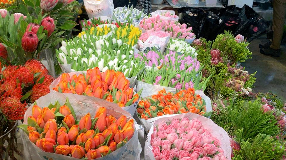 北京崇文区西花市大街,北京通州花市在哪里