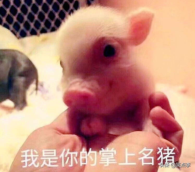 超搞笑的搞笑故事能让人笑喷,生活中的幽默搞笑故事