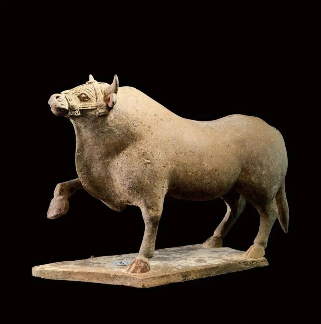 2021嘉禾送拍香港苏富比秋拍藏品 (苏富比香港秋拍各藏品价格)