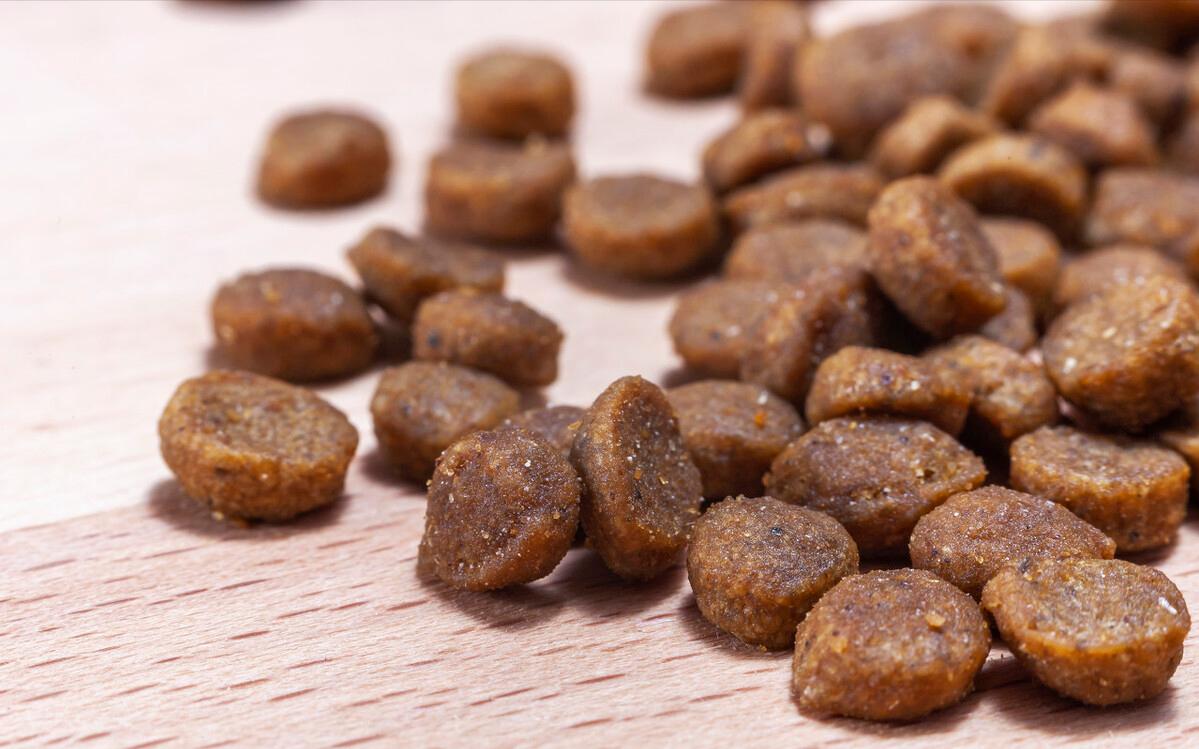 挑选什么牌子的狗粮最好,狗粮哪个牌子好如何挑选好狗粮