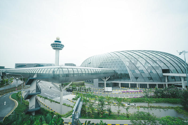 一人一猫环游,一人一猫旅行