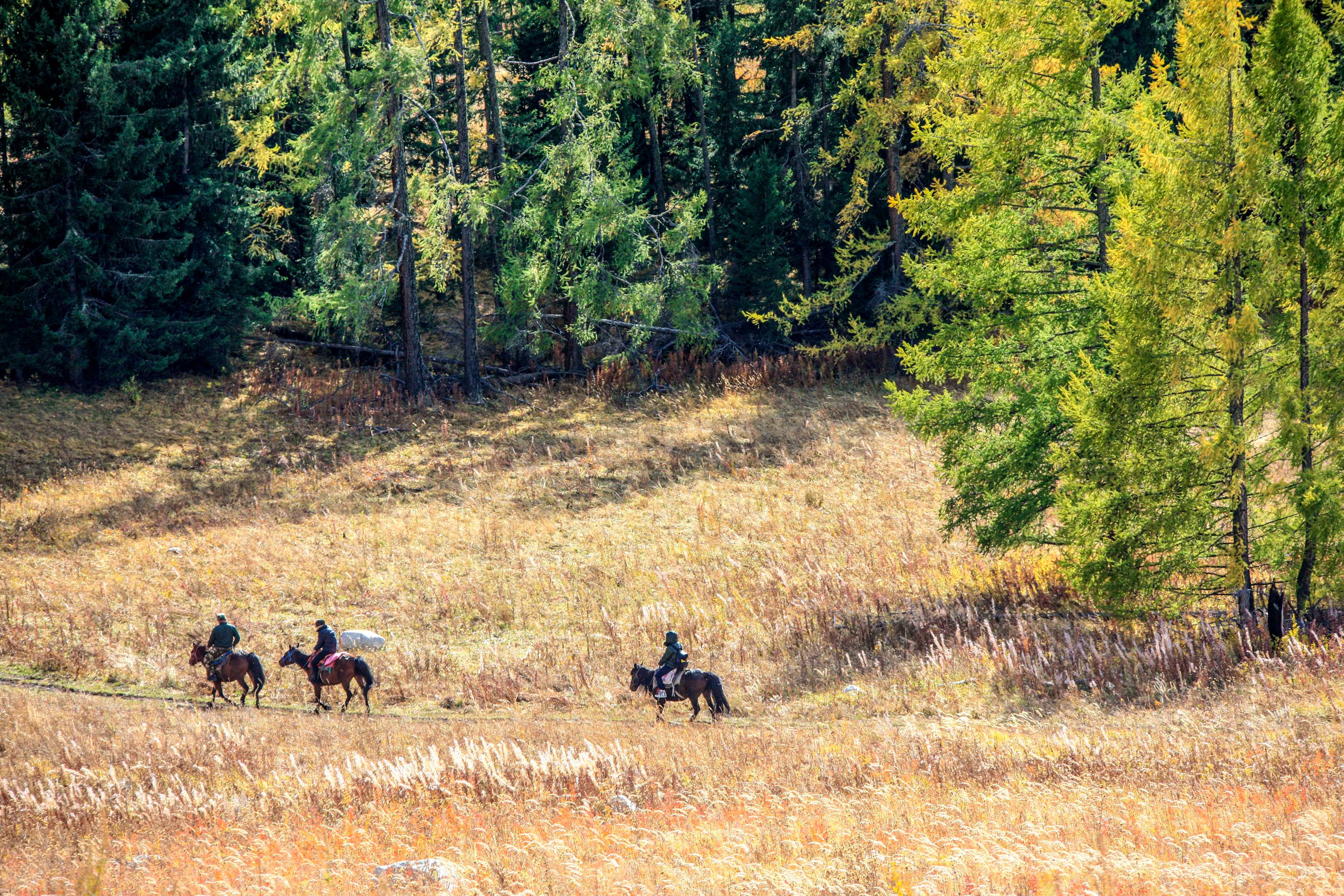 南山牧场，未曾改变的山水未曾改变的哈萨克人，织成的画卷真美