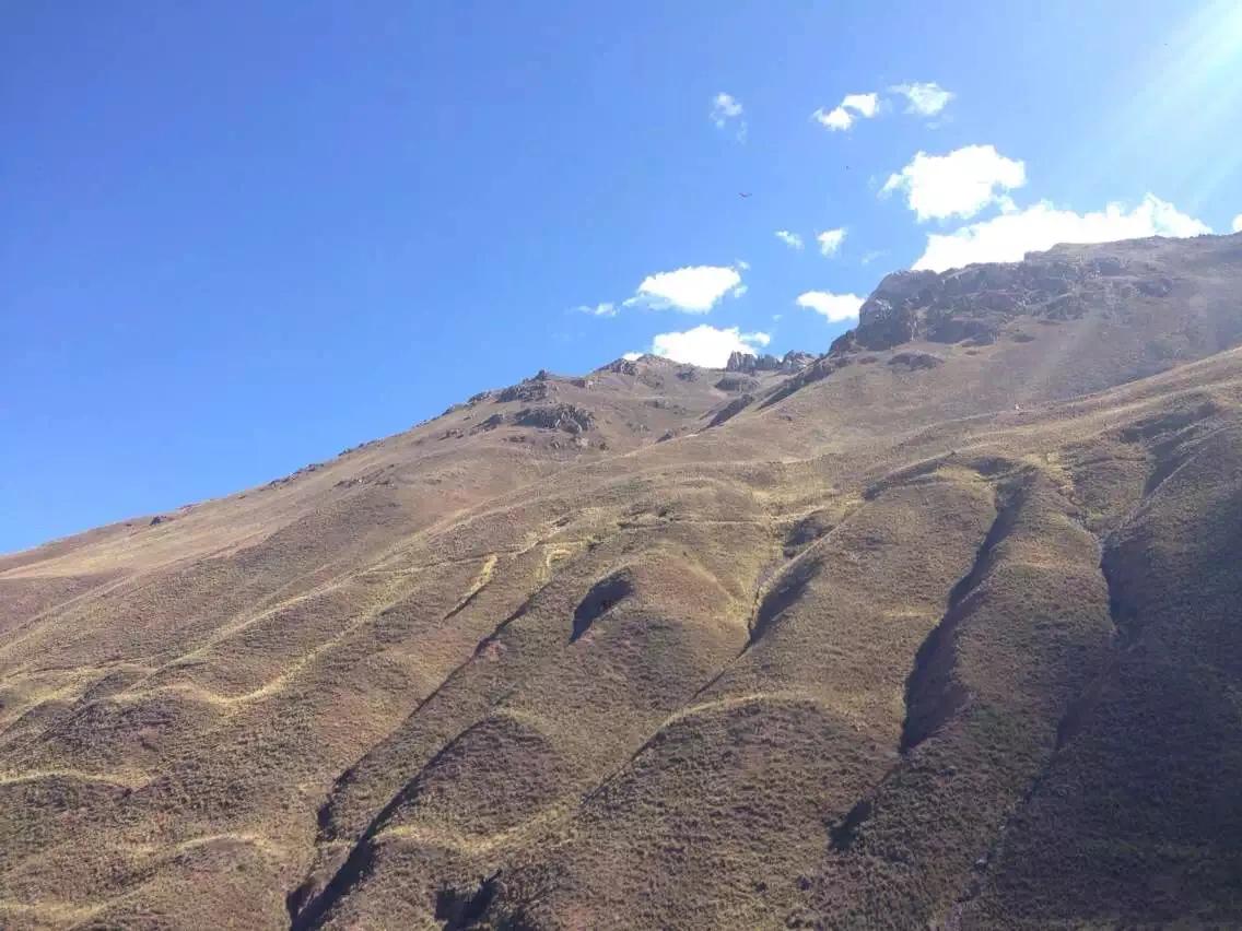 玛咖真实的情况,玛咖真实情况