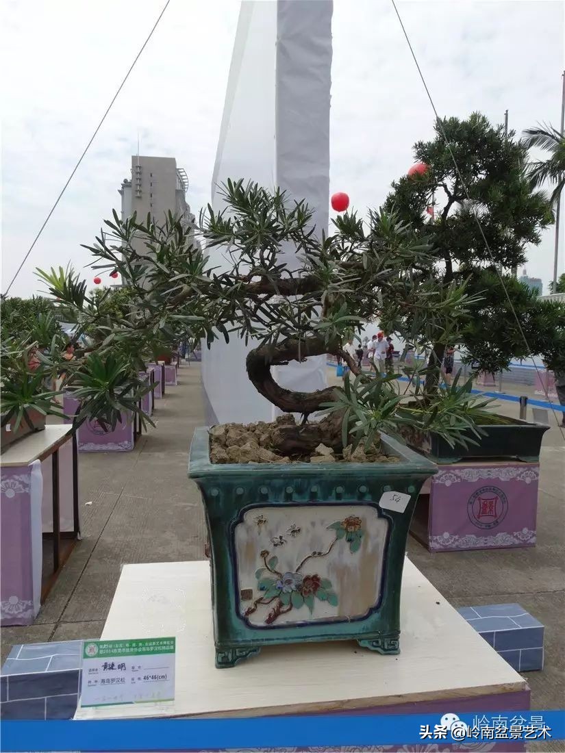 开运招财，非其莫属！清风雅韵，当之无愧！