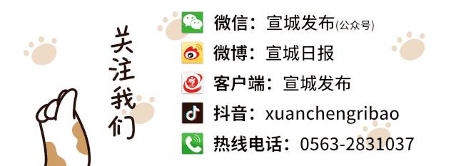宣城民生工程项目,2022年宣城市政府民生实事