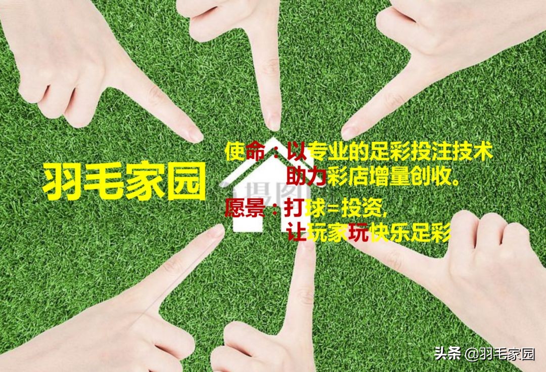 足球竞彩技巧和思路,足球竞彩双平是怎么回事