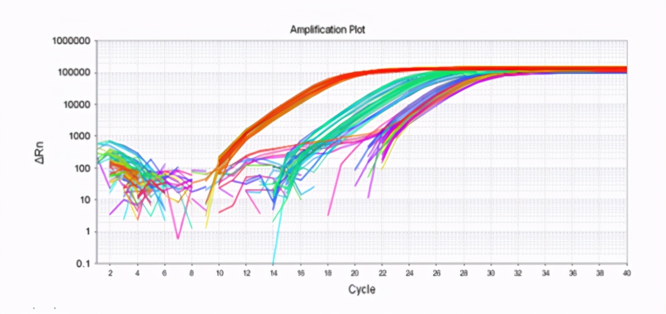 qpcr一点曲线都没有,qpcr循环数不一样怎么办