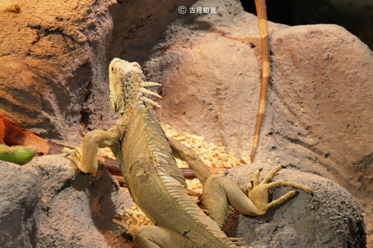 厦门科技馆游玩攻略2-3岁儿童,厦门科技馆每一个馆只能玩一次吗