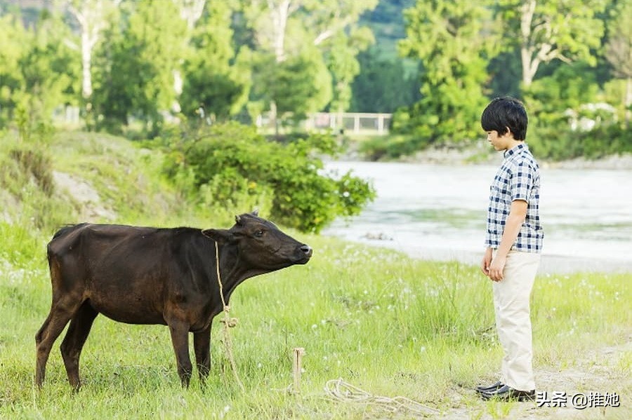 日本皇室面临子嗣断绝,日本皇室面临绝后