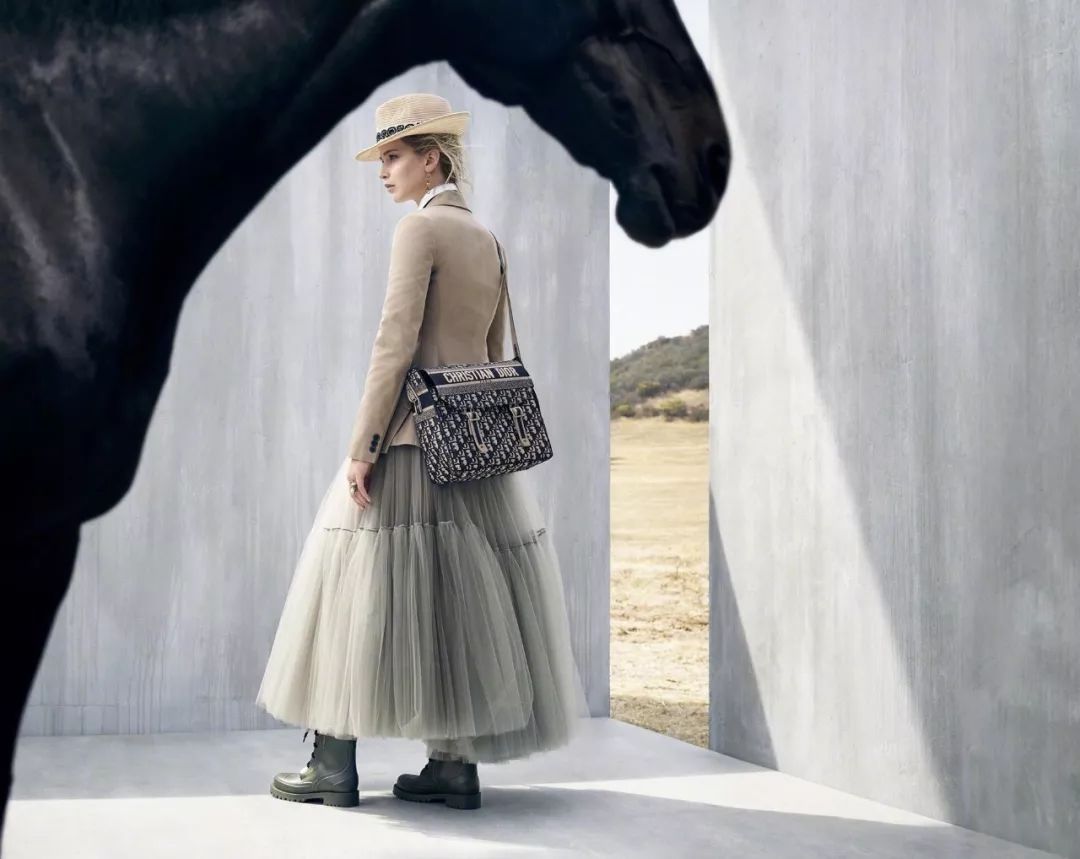 dior值得买的马鞍包是哪款,dior最好的十款包