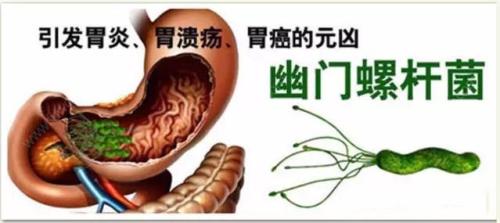 感染幽门螺旋杆菌怎样才算根治,感染了幽门螺旋杆菌怎么治