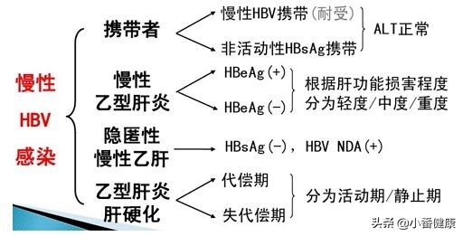 慢性乙肝定期复查项目,慢性乙肝要定期复查什么项目