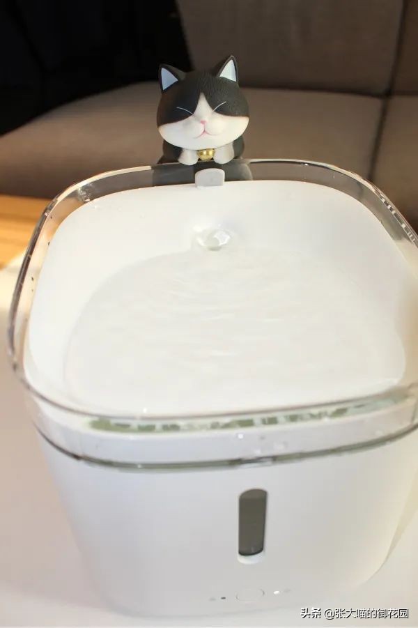 宠物饮水机漏电又爆炸？怎样才能选到安全放心的宠物饮水机？