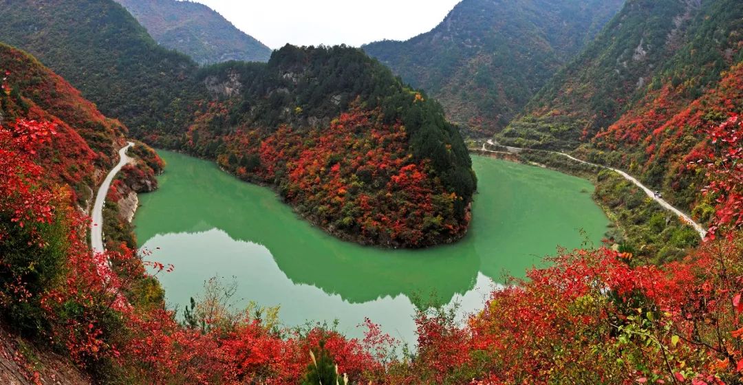 陇南各县城区面积排名,陇南缤纷城