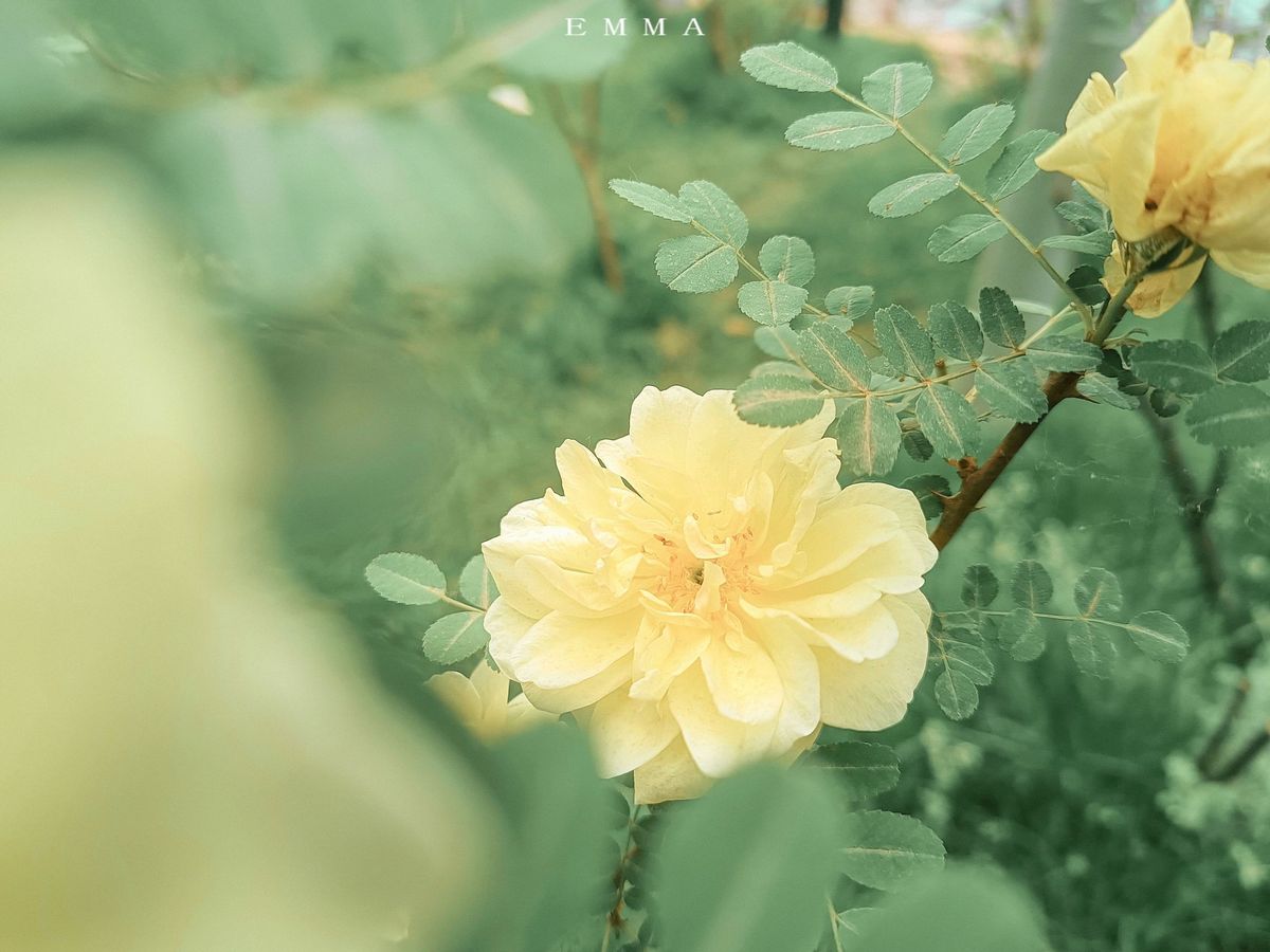 看似大大咧咧其实内心很脆弱,看似天真却心里城府很深的星座