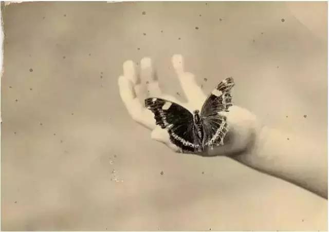 世界级摄影大师作品,100位摄影大师代表作