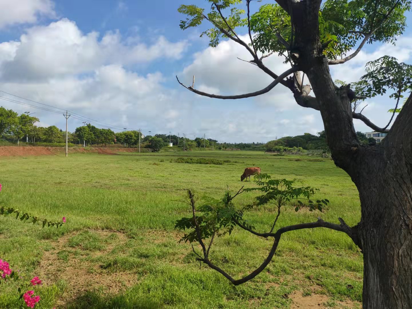 涠洲岛独立用车一日游,涠洲岛小电车游玩攻略