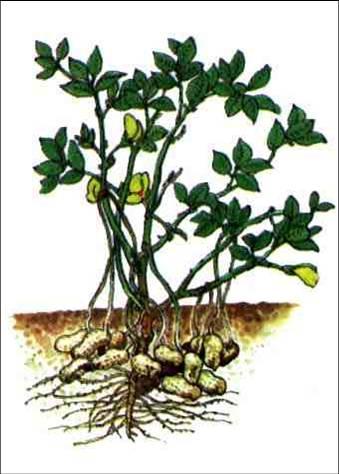 舌尖上的中国百年相传美食,舌尖上的中国美食教材书