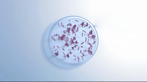 有专利的牙膏,一款神奇的牙膏