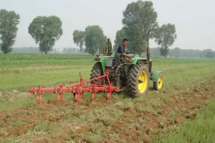 怎么检测土壤有没有肥力,如何判断土壤肥力好不好