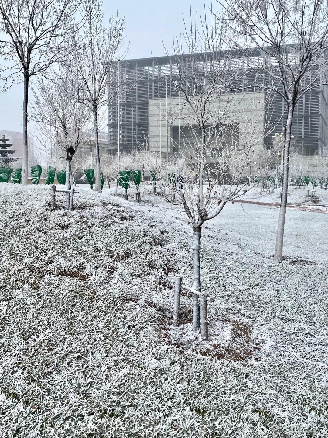 天津医科大学七所直属医院,天津医科大学独立学院是几本