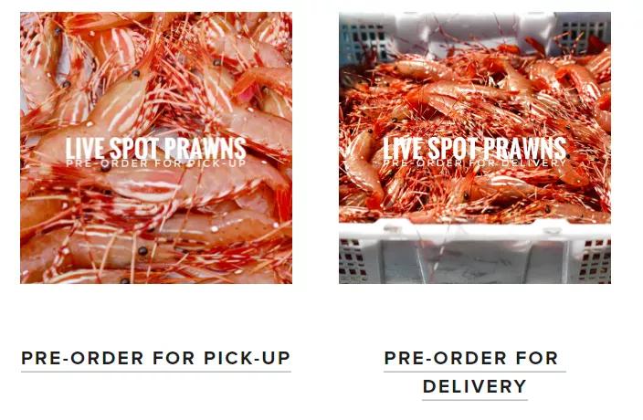 野生斑节虾厦门哪里进货,斑点虾今日价格