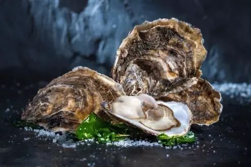 醴陵市海鲜收藏排行榜,海鲜礼盒收藏价格表图