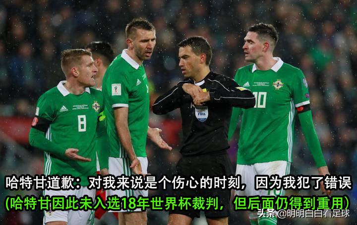 欧世预赛北爱尔兰对芬兰,世预赛欧洲区爱尔兰vs法国