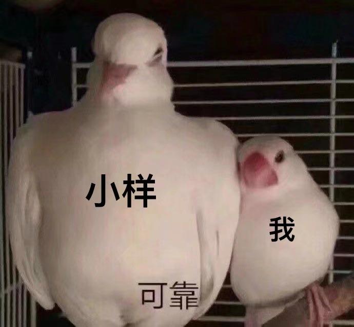 网红美妆店有假的吗,网红美妆店小样