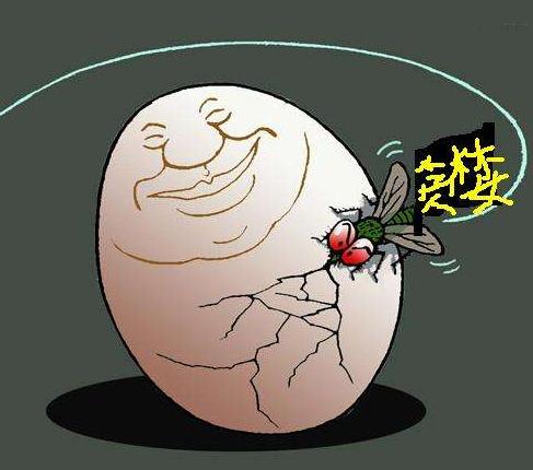 炒股的人怎么样了,怎么理解炒股的人