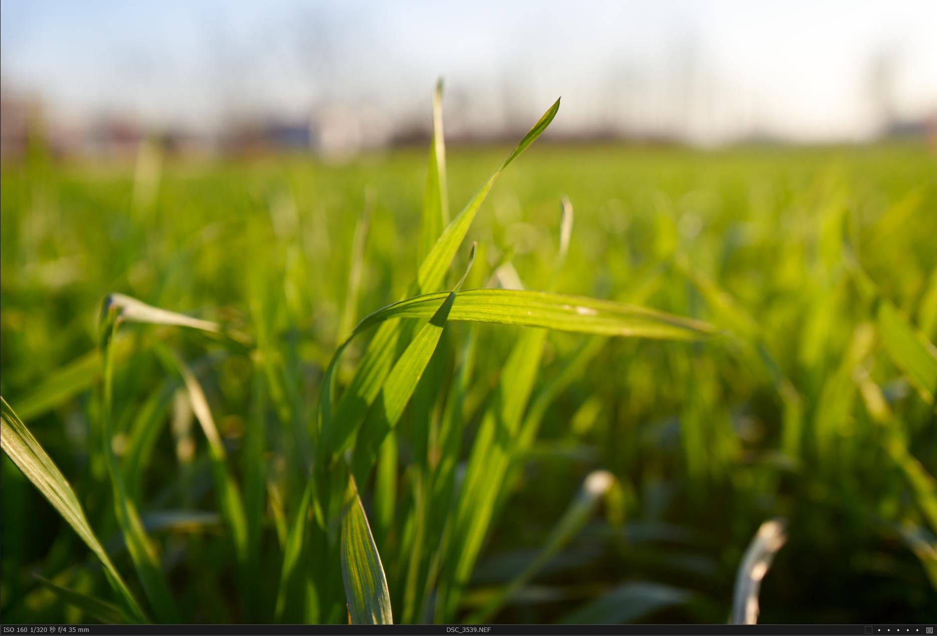 冷门照相机,冷门相机经典镜头