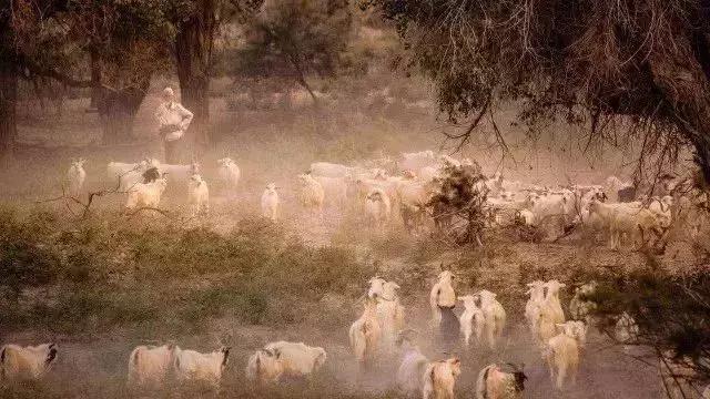 新疆于田沙漠无人区,新疆于田沙漠最后村庄