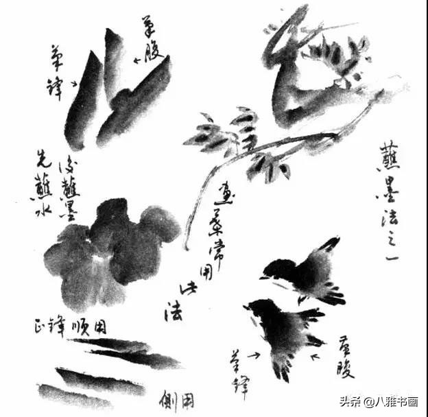 小写意花鸟画笔法,小写意花鸟画笔墨技法与创作