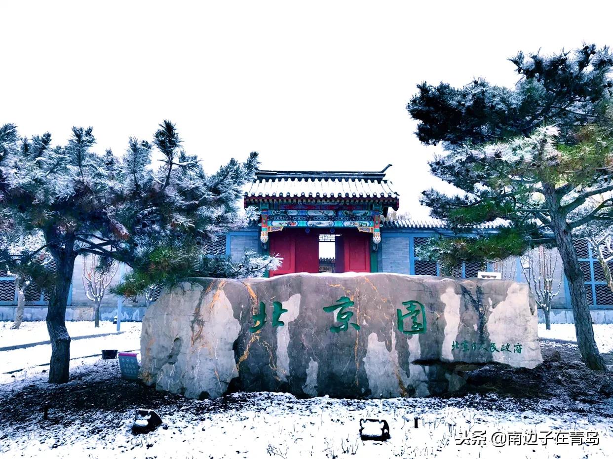画说青岛：错过的赏雪佳境，玉山亘野，琼林分道