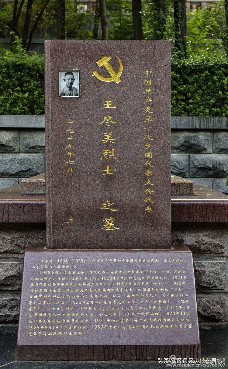 济南秋天的法国梧桐,济南一颗梧桐树