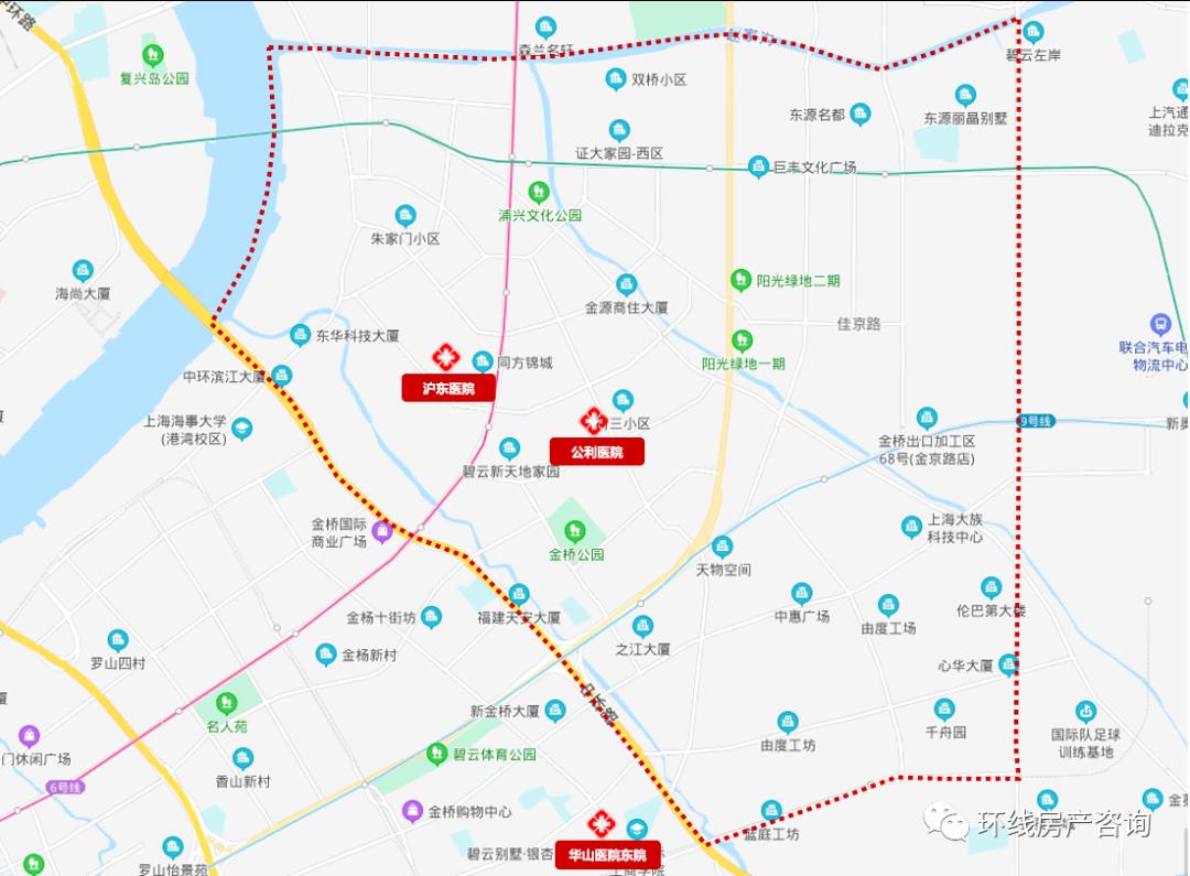 金桥近几年走势,金桥最新消息今天
