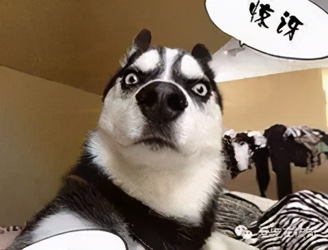 社交电商是什么和什么的汇合点 (社交电商怎么做)