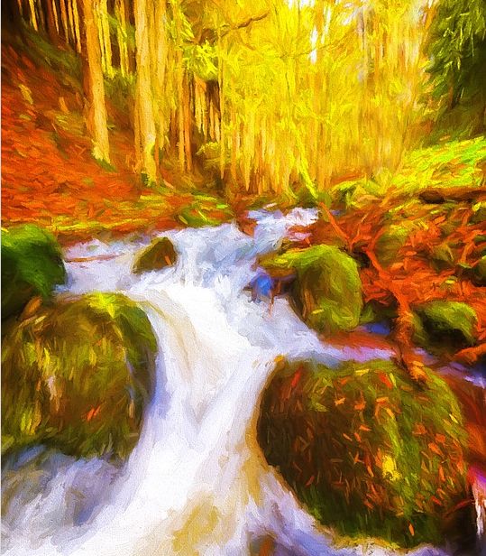 属猪的几月出生好真的准吗,网上说几月出生最好到底准不