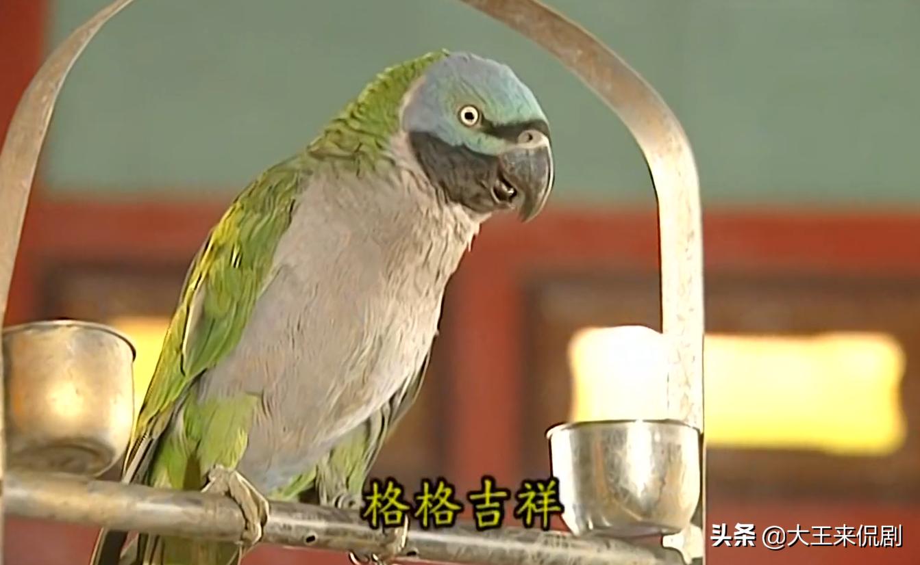 紫薇摔下马车眼睛瞎了,紫薇差点摔倒尔康扶住了她