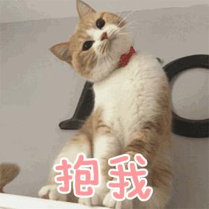 北京海淀区新建的公园,海淀新开放公园