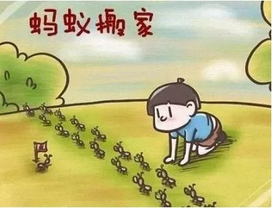 孩子上课注意力不集中小动作太多,孩子上课注意力不集中该如何引导