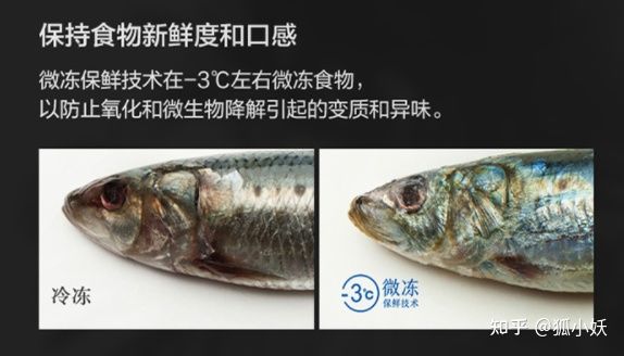 卡萨帝和西门子冰箱型号推荐,冰箱推荐2023西门子高端