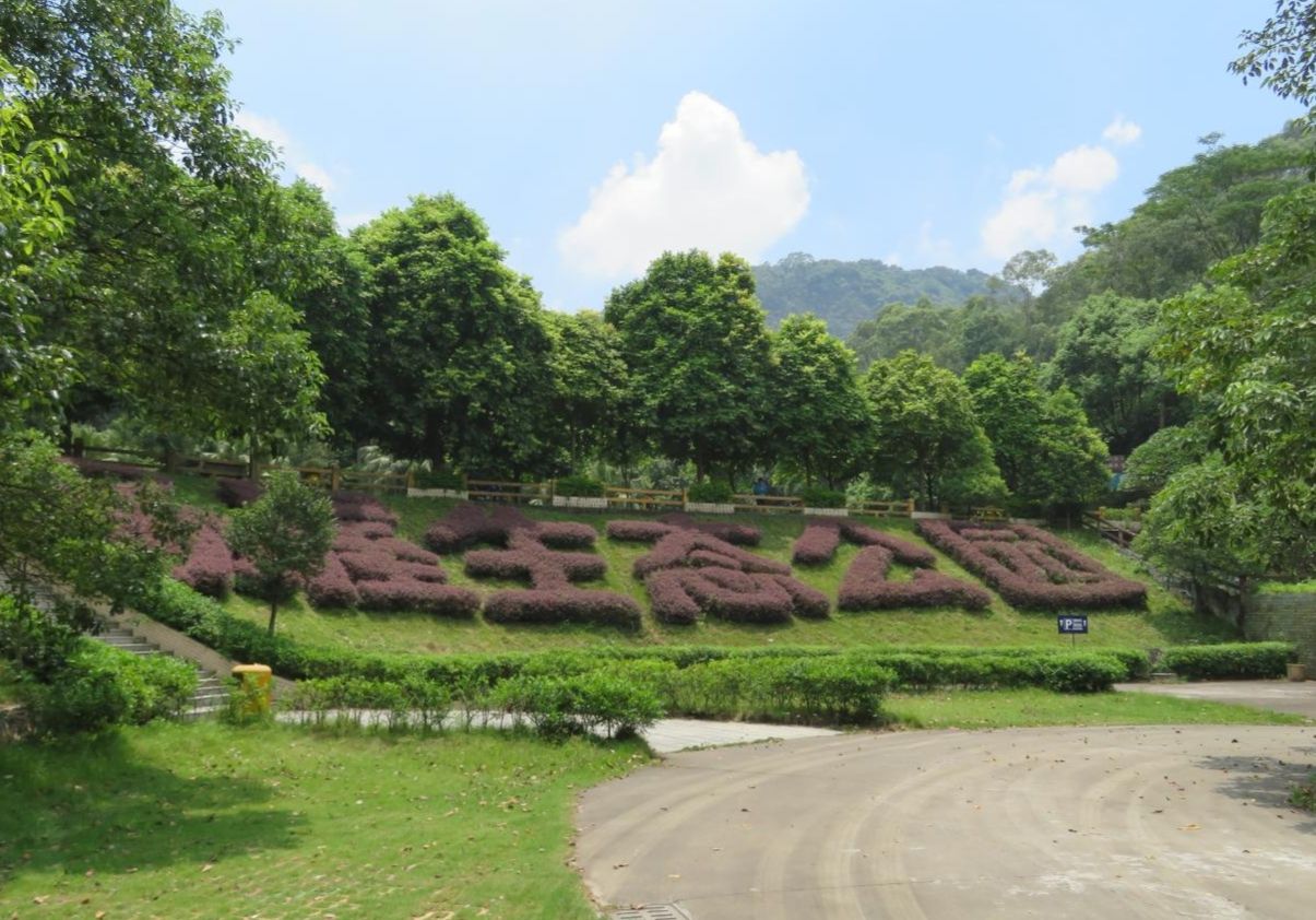 打工回忆录400字,东莞大岭山杨屋富鼎家私厂