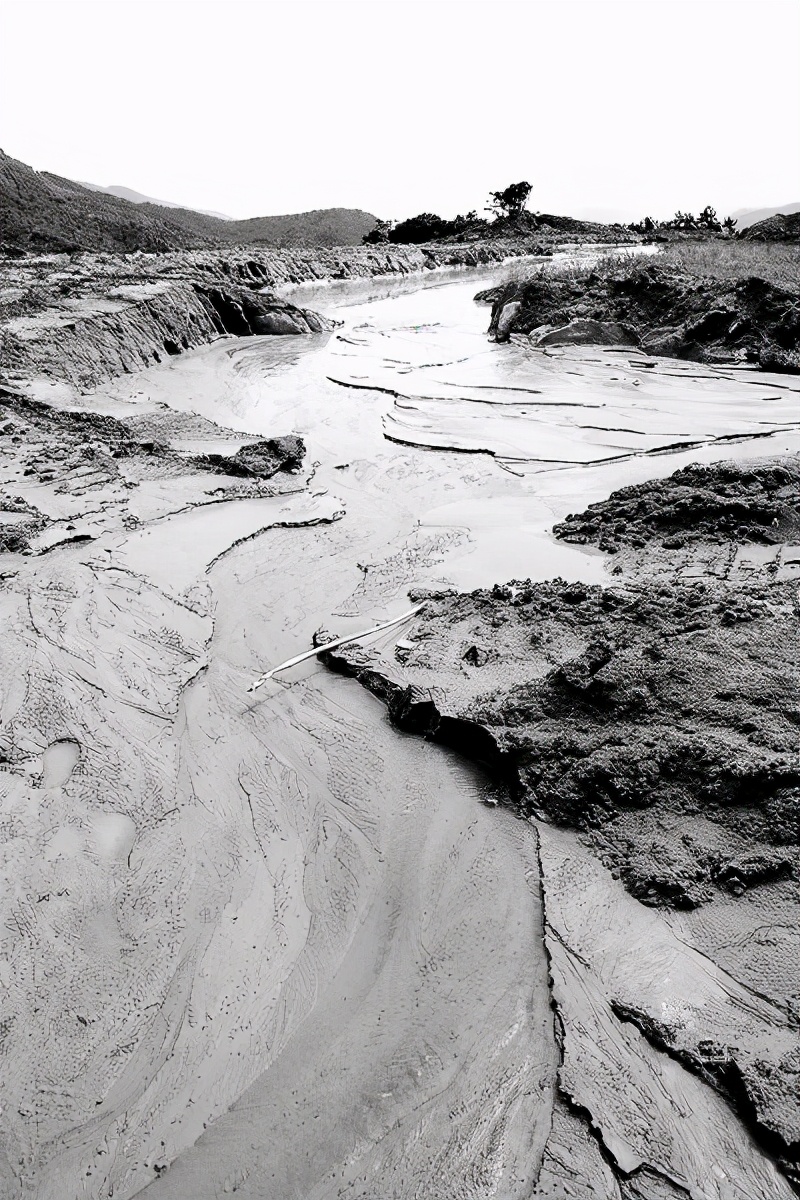 解密65年黄河巨龟,黄河发现巨龟事件真相
