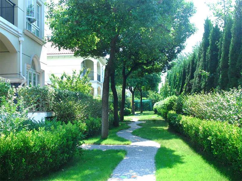 儿童益智思维学习3-6岁游戏,儿童益智启蒙早教游戏3-6岁