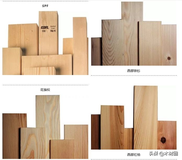 加拿大盛产哪些木材,加拿大bc省真实图片