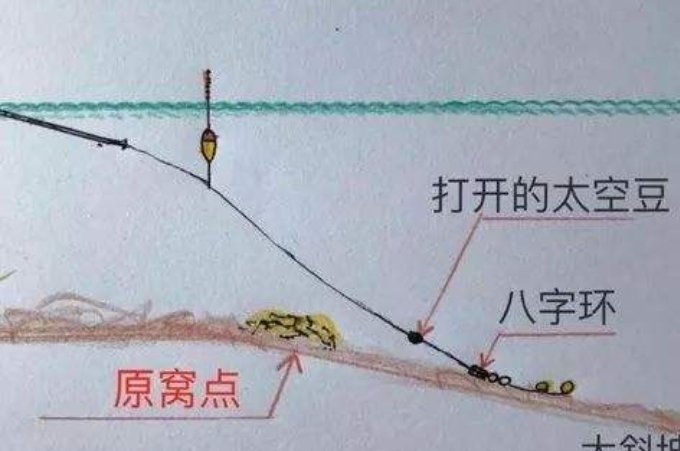 鱼是怎么掉下来的,跑鱼是什么原因造成的