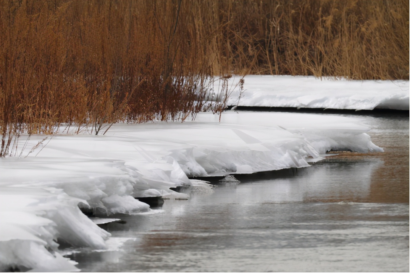 立春是否意味着春天已正式开始了,今天立春是什么时间到什么时间
