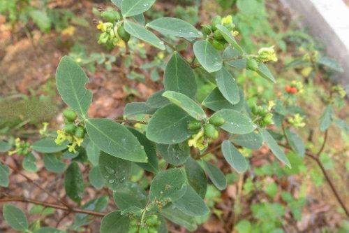 讲解中医食药知识的视频,食药知识宣讲