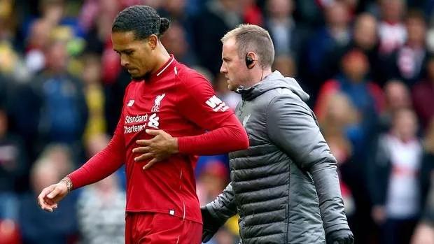 范戴克的一生,范戴克成长历程